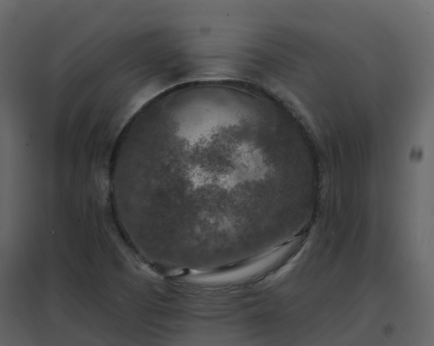 X0000096711457200802121214