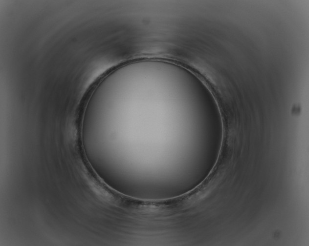 X0000096711458200802121214