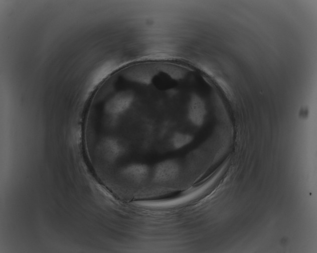 X0000096711459200802121214