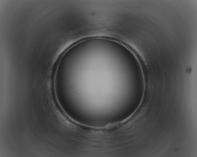 X0000096711460200802121214