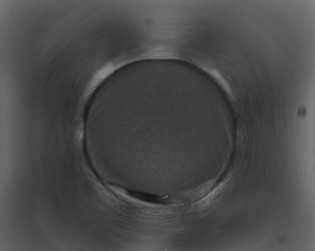 X0000096711461200802121214