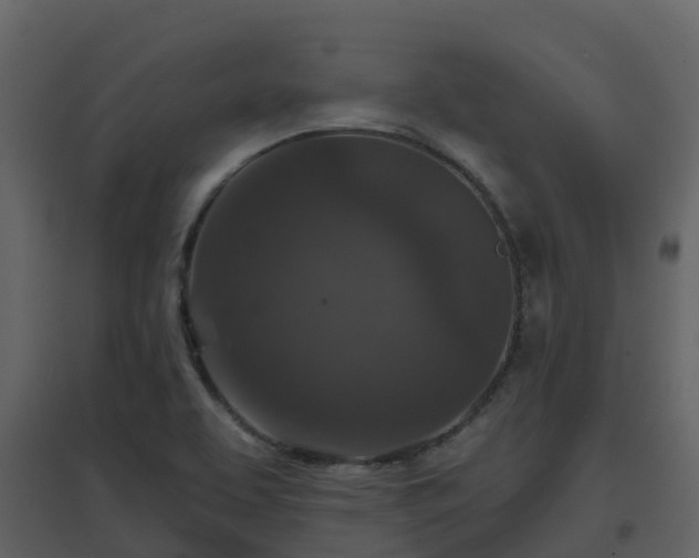 X0000096711463200802121214