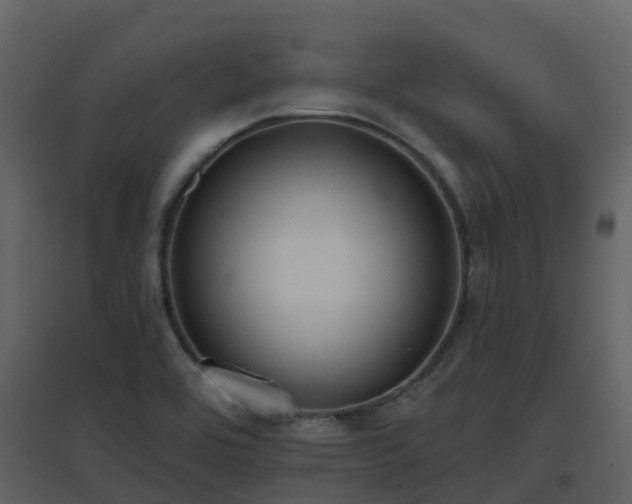 X0000096711464200802121214