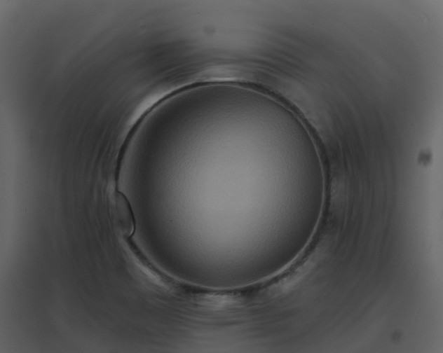 X0000096711465200802121214