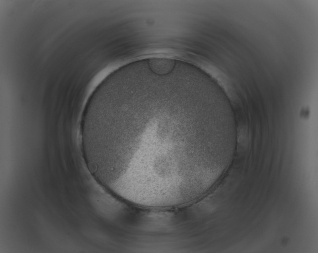 X0000096711466200802121214