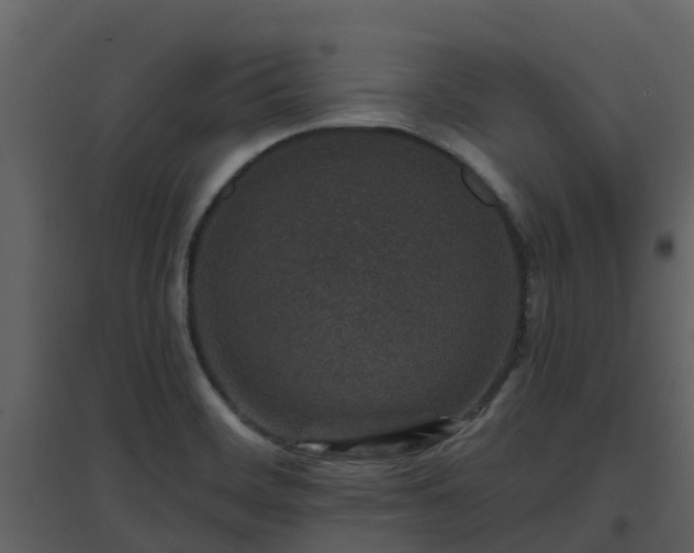 X0000096711468200802121214