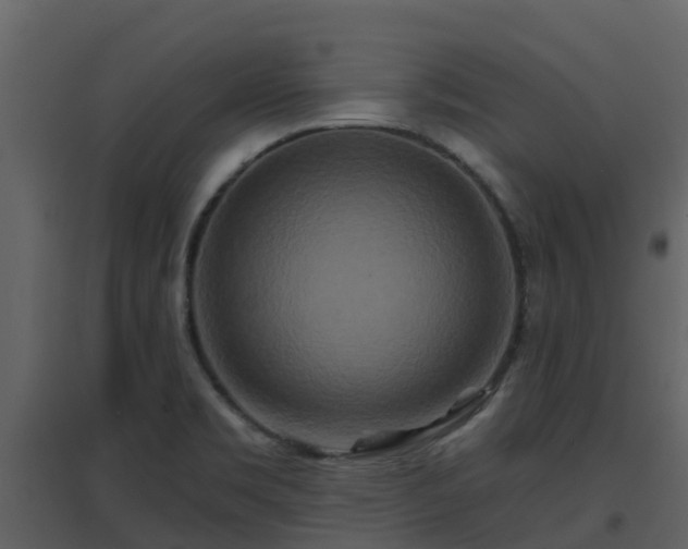 X0000096711469200802121214