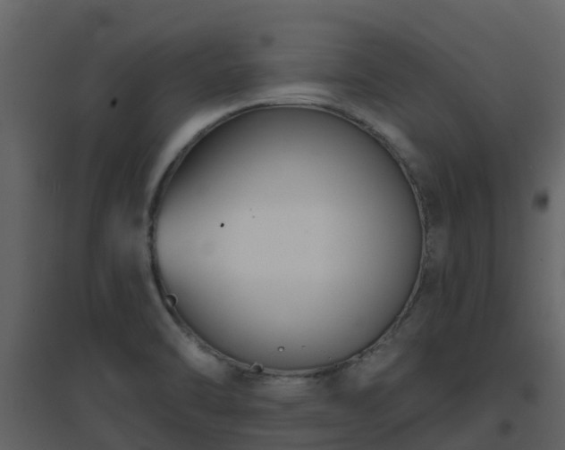 X0000096711470200802121214