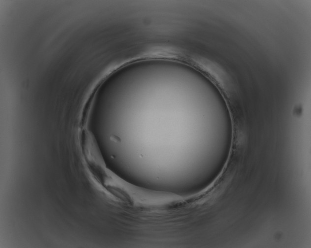 X0000096711471200802121214