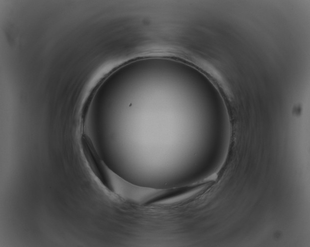 X0000096711472200802121214