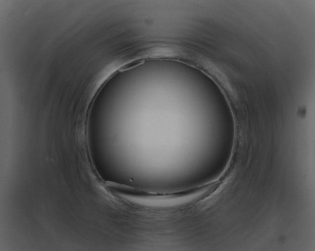 X0000096711473200802121214