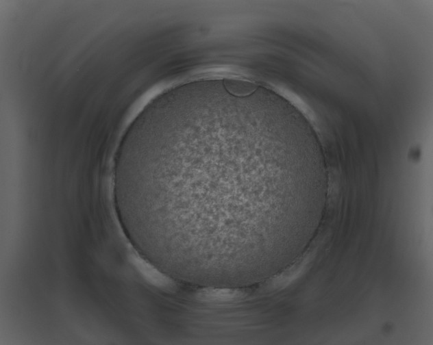 X0000096711474200802121214