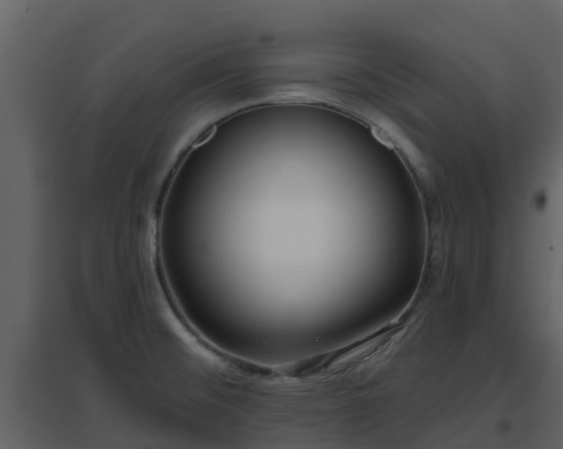 X0000096711476200802121214