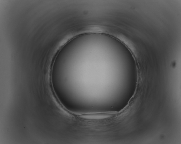 X0000096711477200802121214