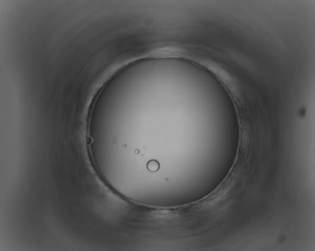 X0000096711478200802121214