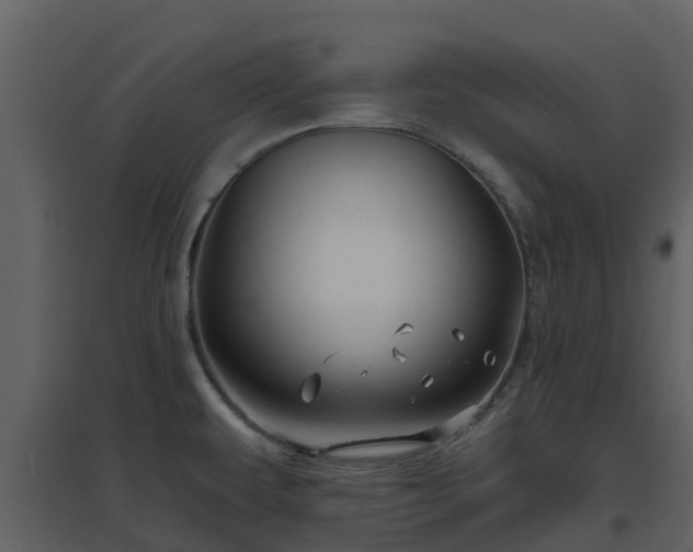 X0000096711479200802121214