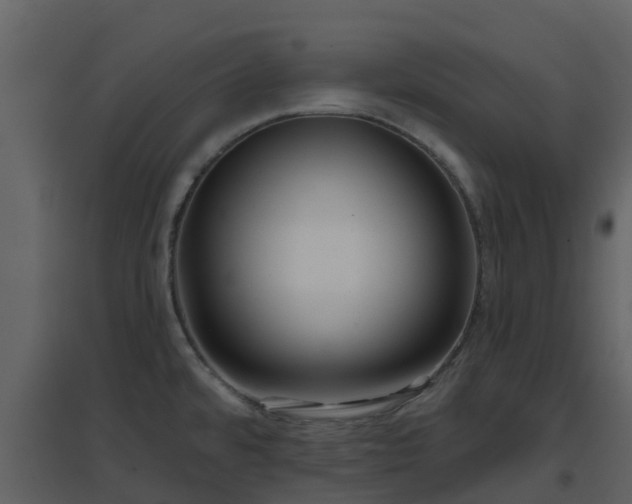 X0000096711480200802121214