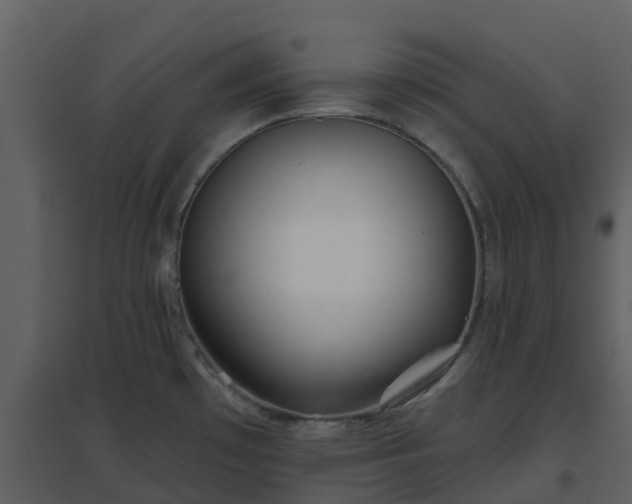 X0000096711481200802121214