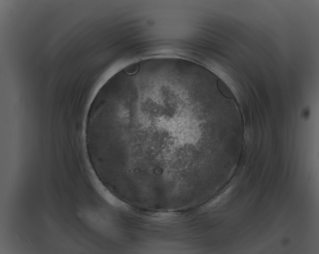 X0000096711482200802121214