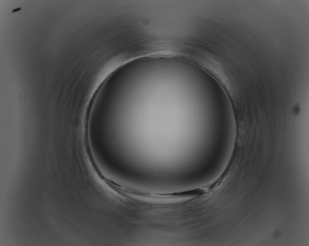 X0000096711483200802121214