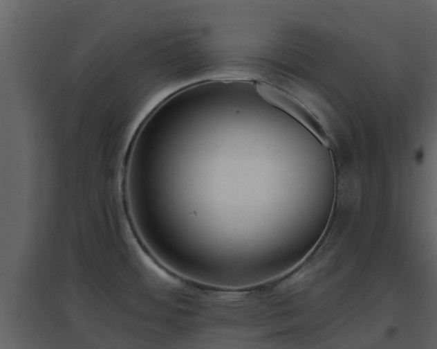 X0000096711484200802121214