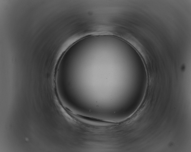 X0000096711485200802121214