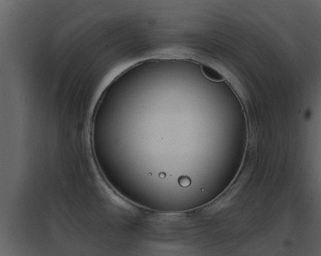 X0000096711486200802121214