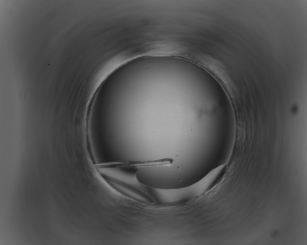 X0000096711487200802121214