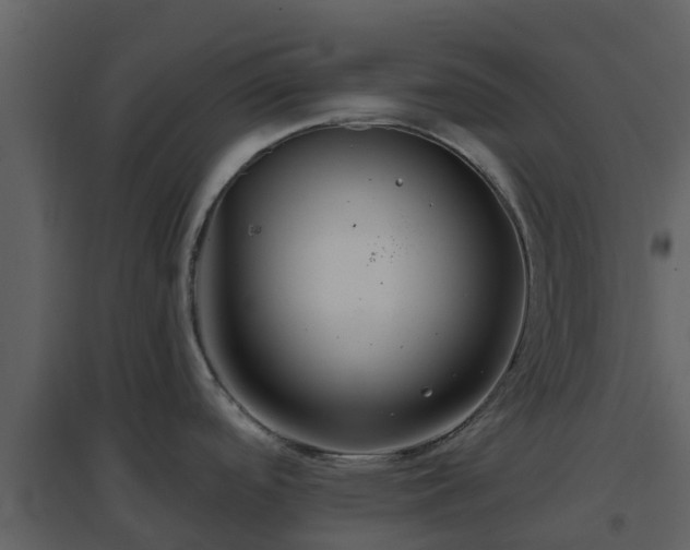 X0000096711488200802121214