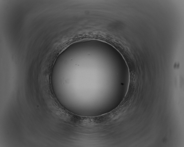 X0000096711489200802121213