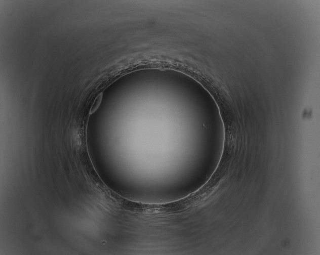 X0000096711490200802121213