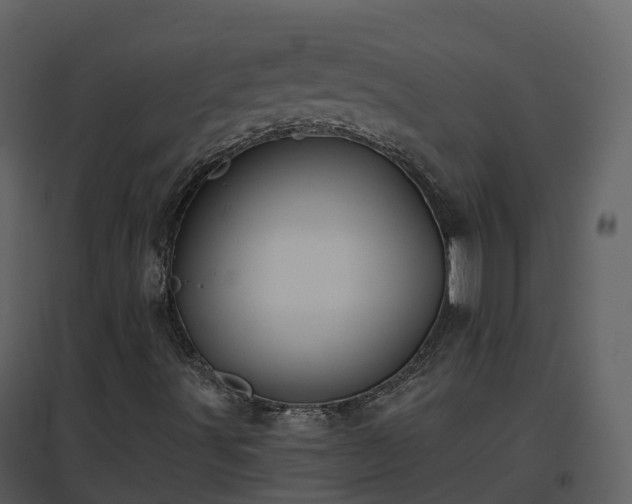 X0000096711491200802121213