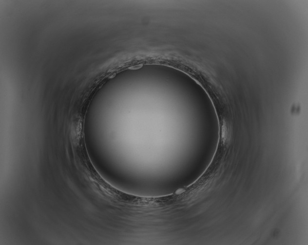 X0000096711492200802121213