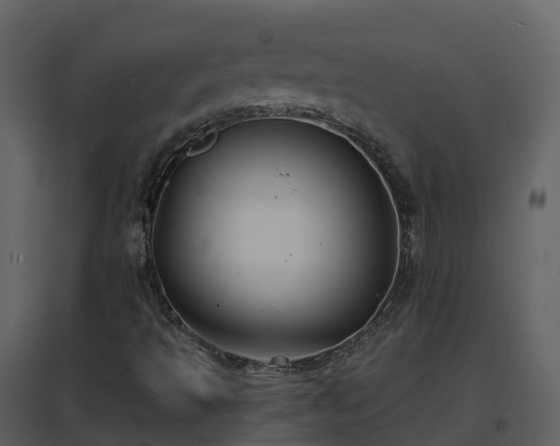 X0000096711493200802121213