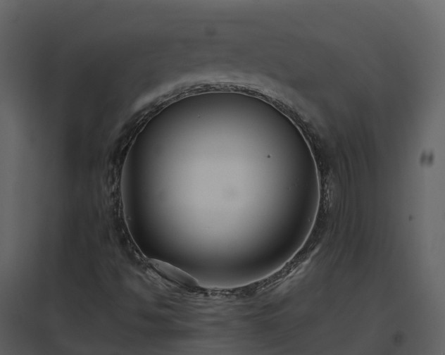 X0000096711494200802121213