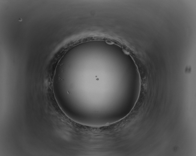 X0000096711495200802121213