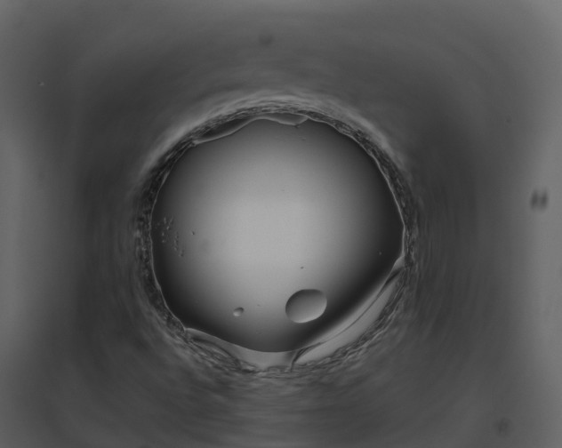 X0000096711496200802121213