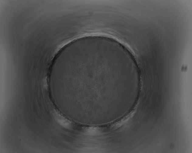 X0000096711497200802121213