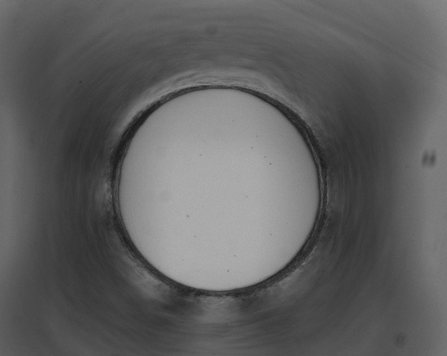 X0000096711498200802121213