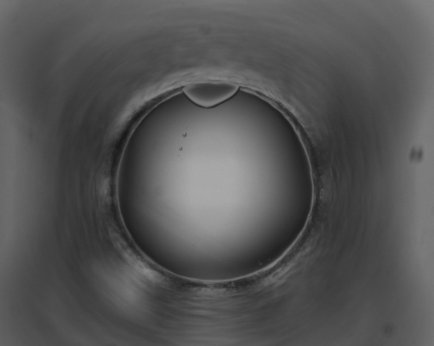 X0000096711499200802121213