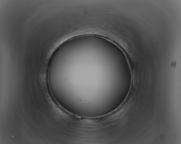 X0000096711500200802121213