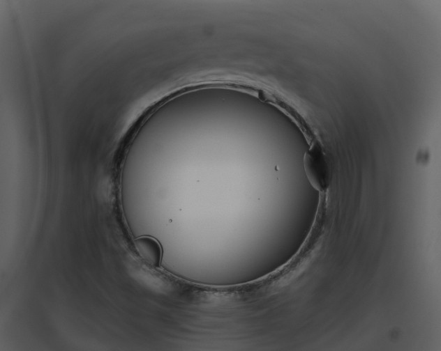 X0000096711501200802121213