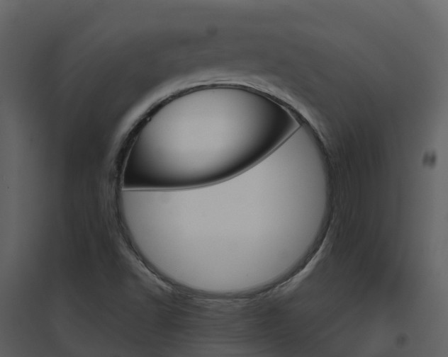 X0000096711502200802121213