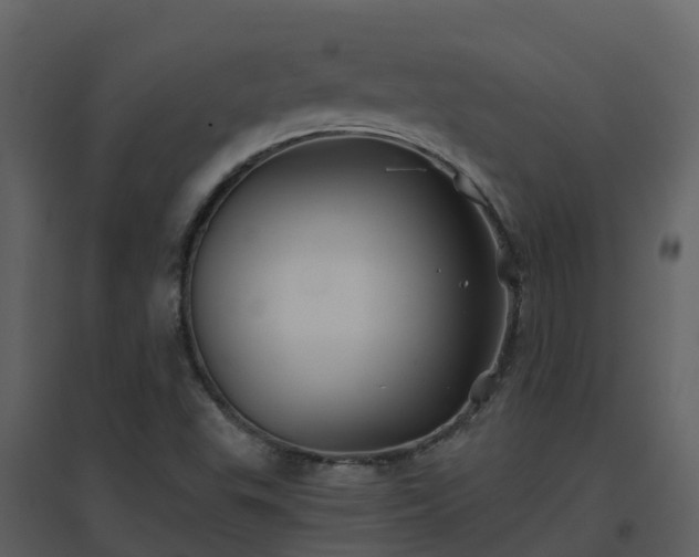 X0000096711503200802121213