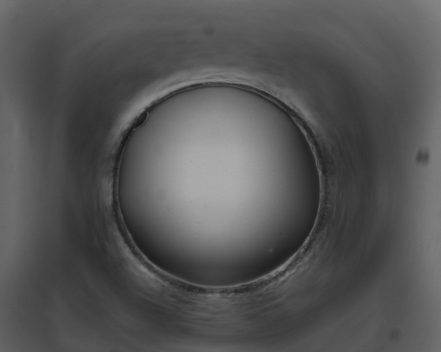 X0000096711504200802121213