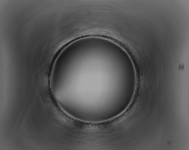 X0000096711505200802121213