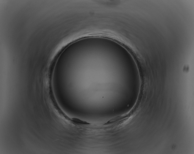 X0000096711506200802121213