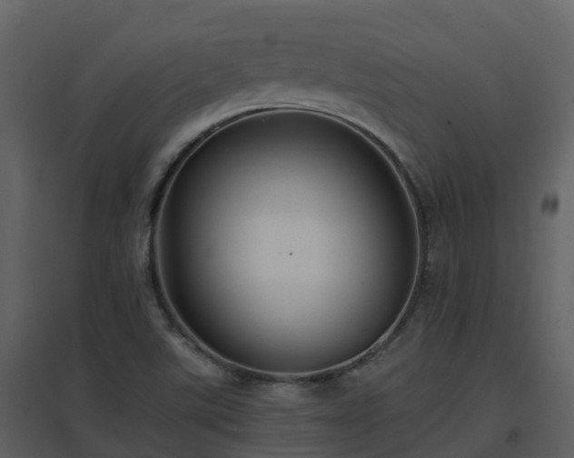 X0000096711507200802121213