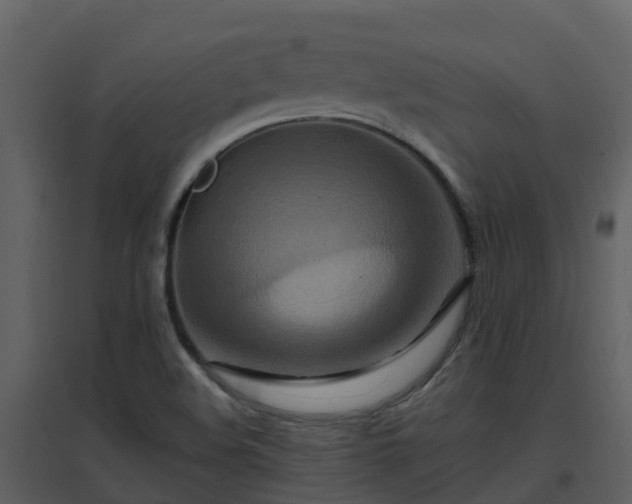 X0000096711508200802121213