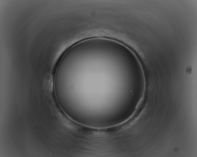 X0000096711509200802121213